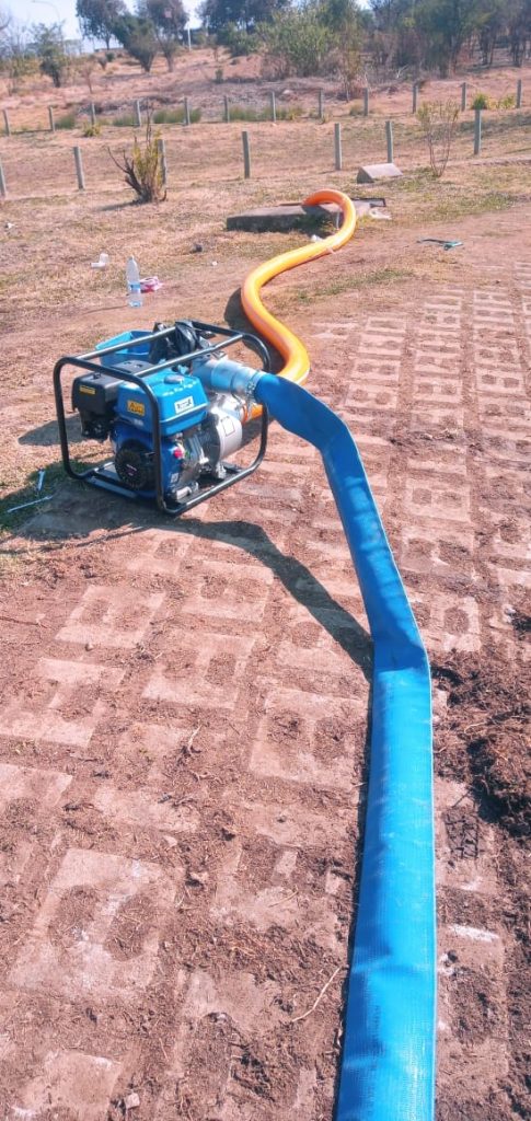 LiseNgwe Technologies and Projects(Pty)Ltd